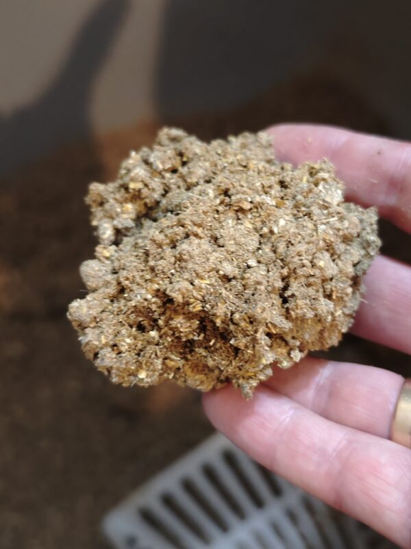 1723450577613 1723450577613