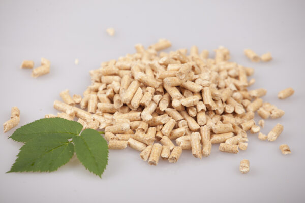 IMG_0824 jak wyglads