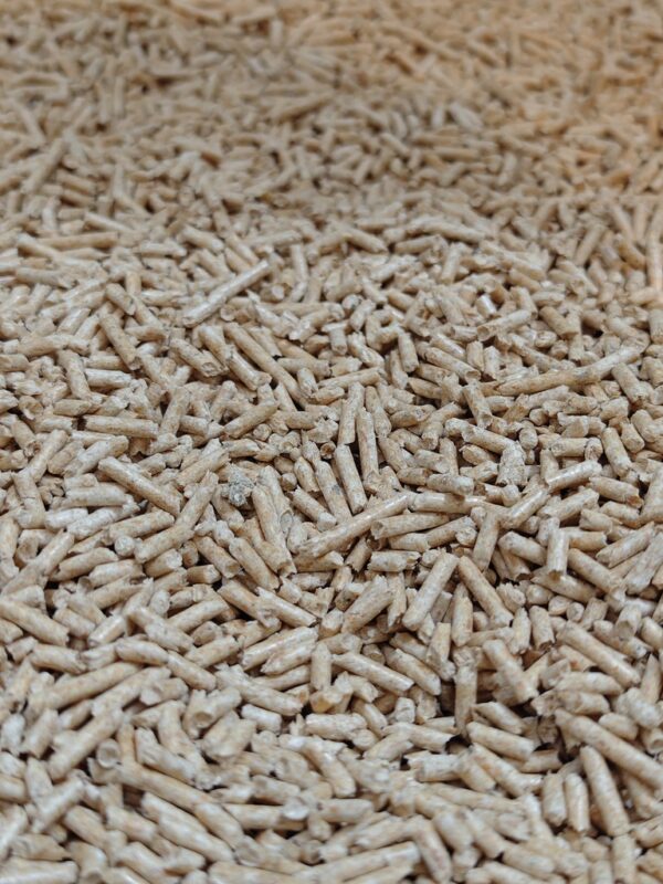 1725624300872 1725624300872