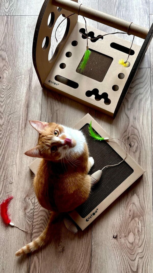 93971575-E481-4178-B8F8-27DC82AA19AD 93971575-E481-4178-B8F8-27DC82AA19AD