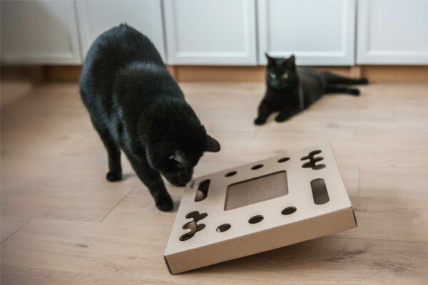 Artboard19 Artboard19