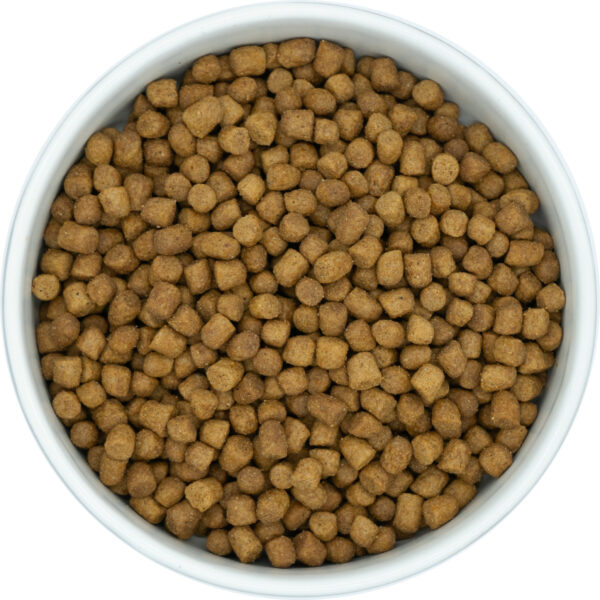 8e928983-7598-4e76-b3a3-dcdde6e4dbf4 8e928983-7598-4e76-b3a3-dcdde6e4dbf4