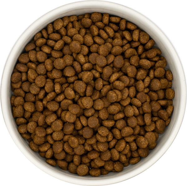 4e6bc34c-45ad-43de-883a-21e9a8ba24e6 karma kociaka