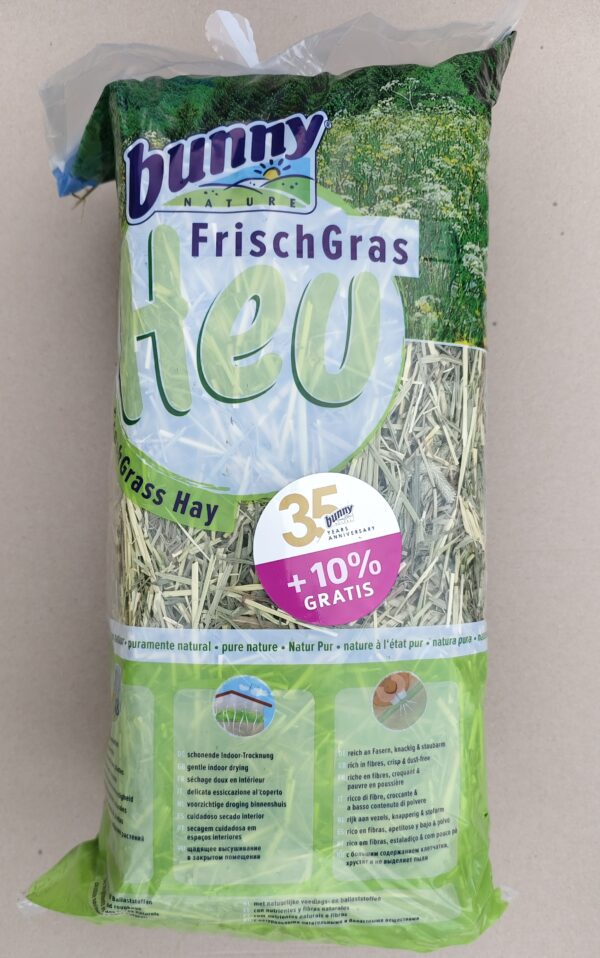 IMG_20251022_134833 IMG_20251022_134833