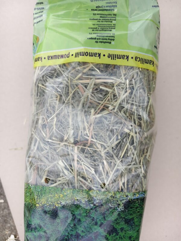 IMG_20251022_134912 IMG_20251022_134912