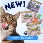 bandicam 2025-07-09 14-56-47-587