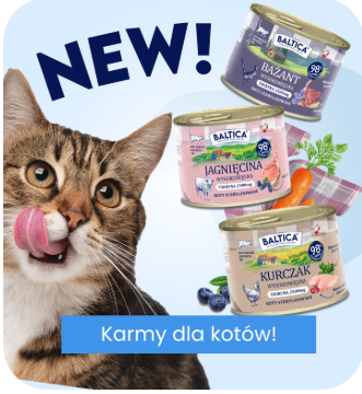 bandicam 2025-07-09 14-56-47-587 bandicam 2025-07-09 14-56-47-587