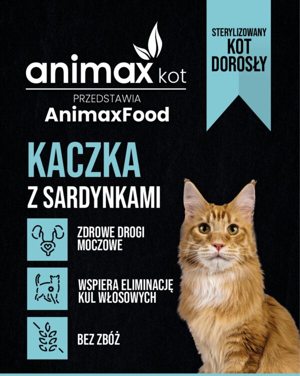 CCD - kaczka z sardynka_allegro CCD - kaczka z sardynka_allegro