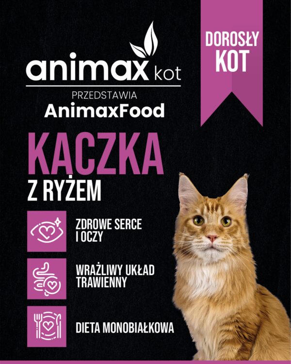 CDN - kaczka z ryzem dorosly_allegro CDN - kaczka z ryzem dorosly_allegro