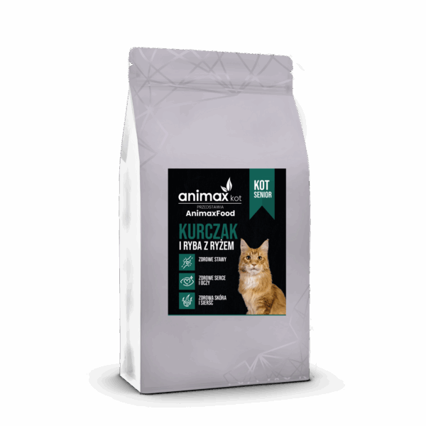 kot senior kot senior