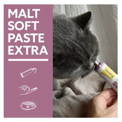 274582_gimborn_gimcat_malt_soft_paste_extra_hs_05_2 274582_gimborn_gimcat_malt_soft_paste_extra_hs_05_2