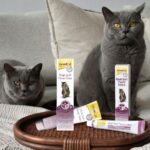 GIMPET-PASTA-ODKLACZAJACA-MALT-SOFT-EKSTRA-DLA-KOTA-200g-Postac-pasta