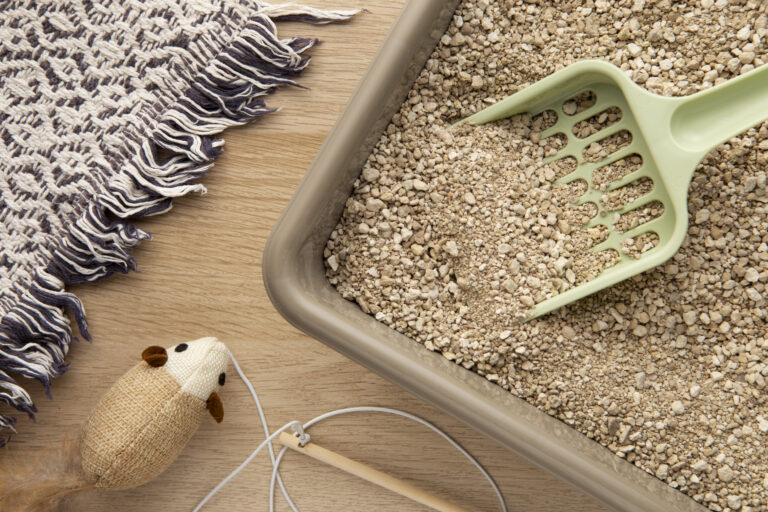 Kot a alergie – jak dobrać żwirek i akcesoria, aby ograniczyć objawy?